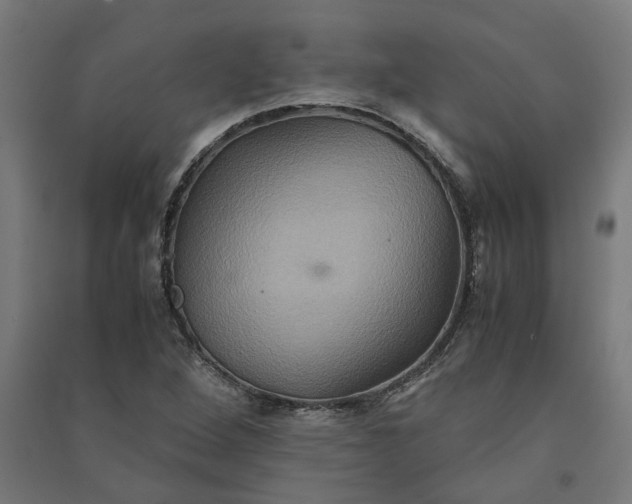 X0000091081264200708201425