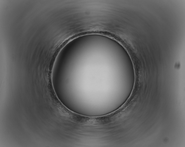 X0000091081265200708201425