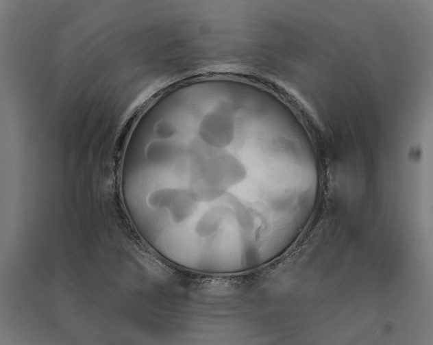 X0000091081266200708201425