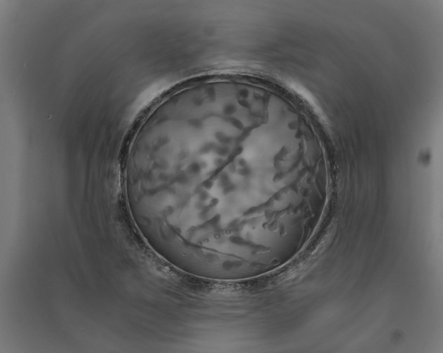 X0000091081267200708201425