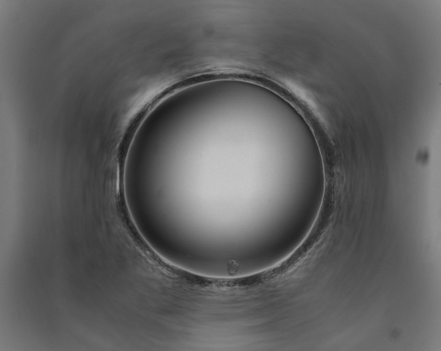 X0000091081269200708201425