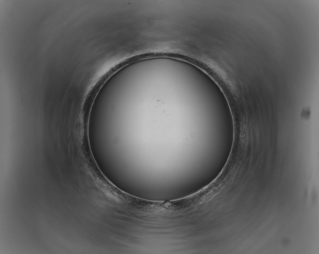 X0000091081270200708201425