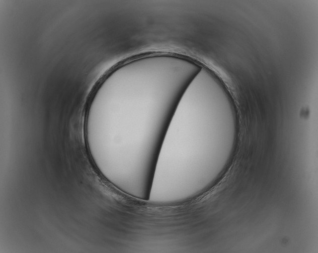 X0000091081272200708201425