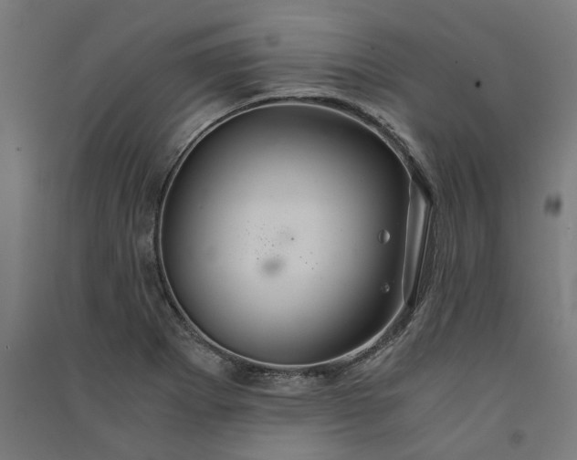 X0000091081273200708201425