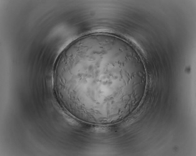 X0000091081274200708201425