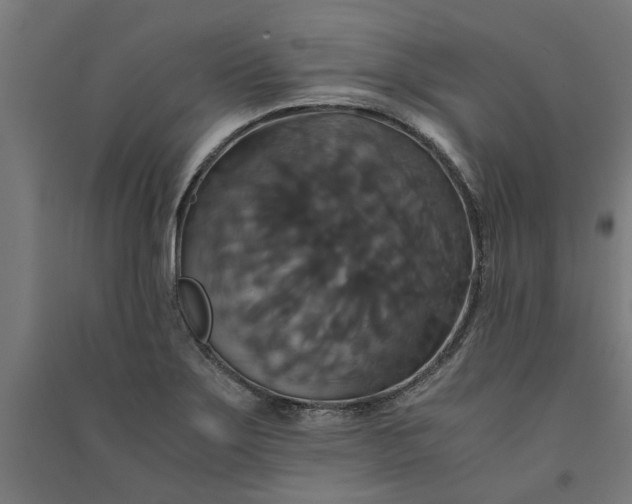 X0000091081275200708201425