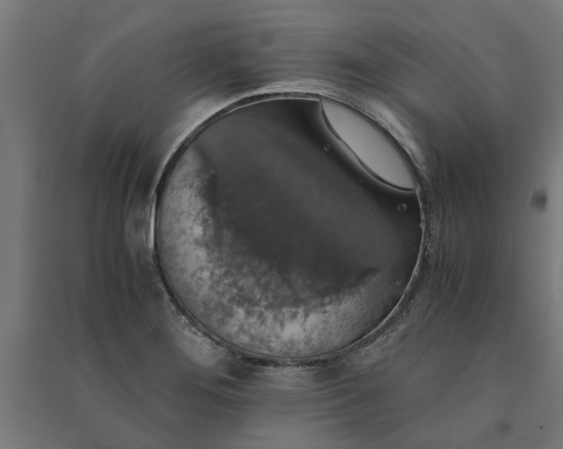 X0000091081276200708201425