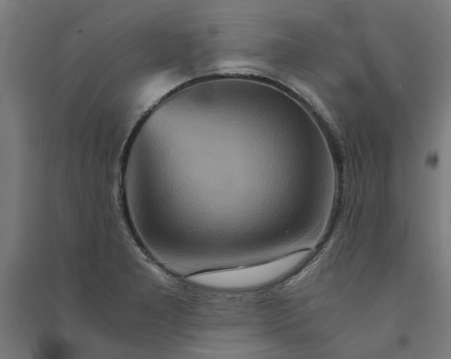 X0000091081277200708201425