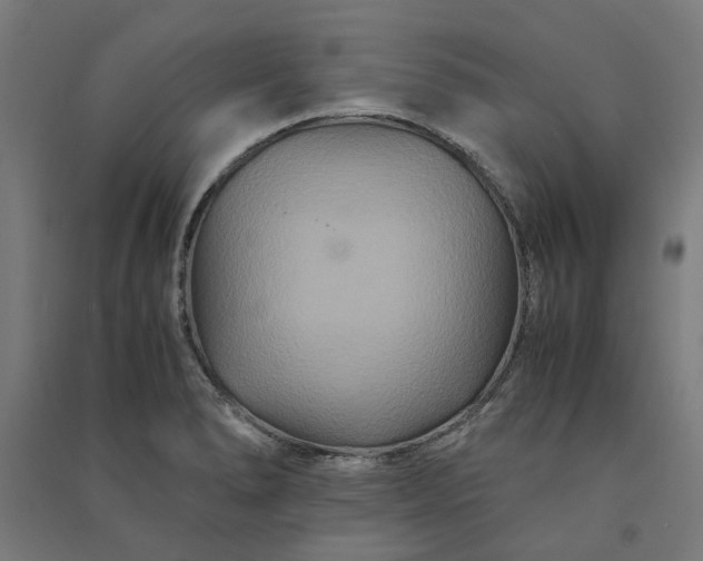 X0000091081278200708201425