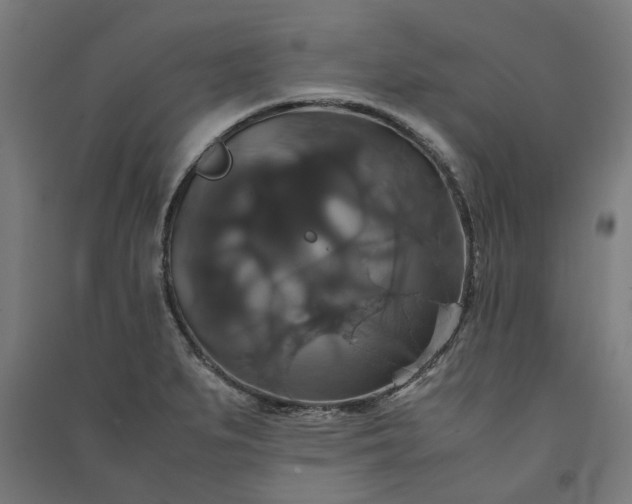 X0000091081279200708201425