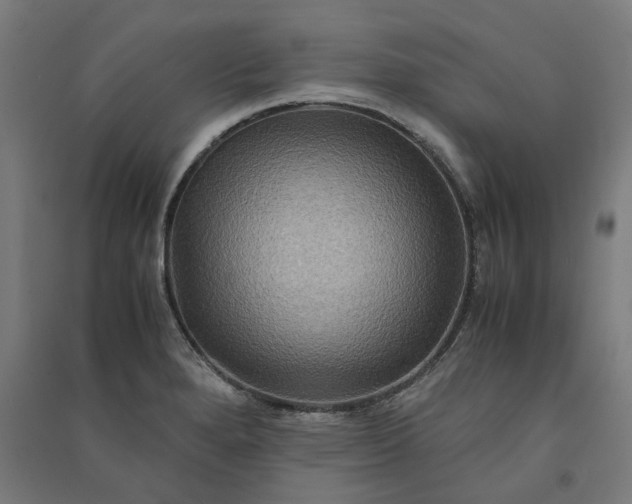 X0000091081280200708201425