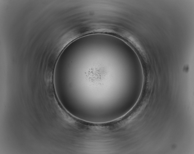 X0000091081281200708201425