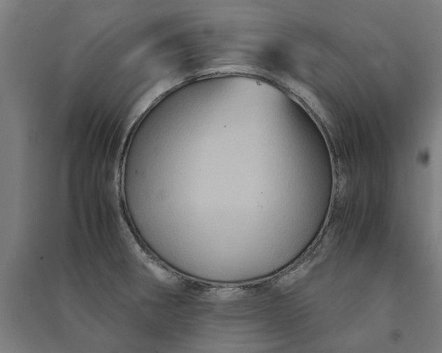 X0000091081282200708201425