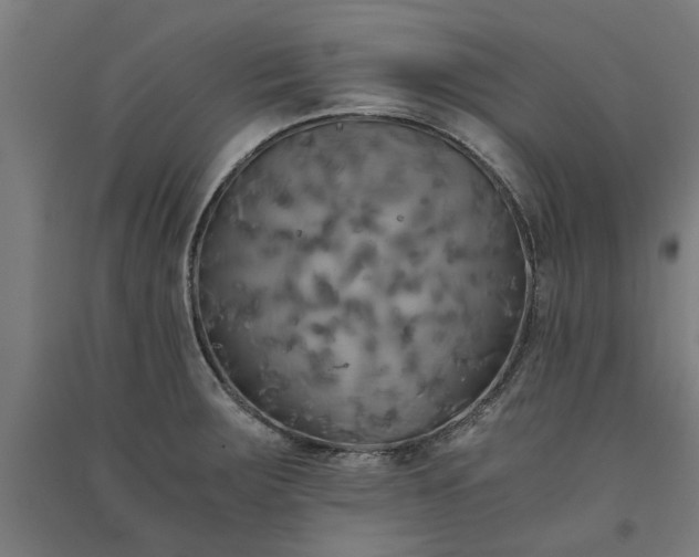 X0000091081283200708201425