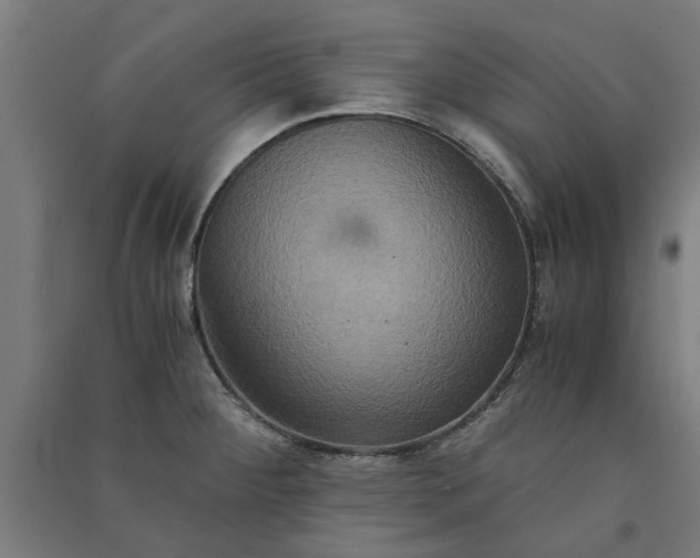 X0000091081284200708201425