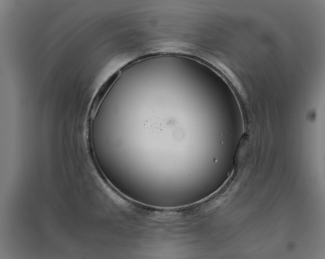 X0000091081285200708201425