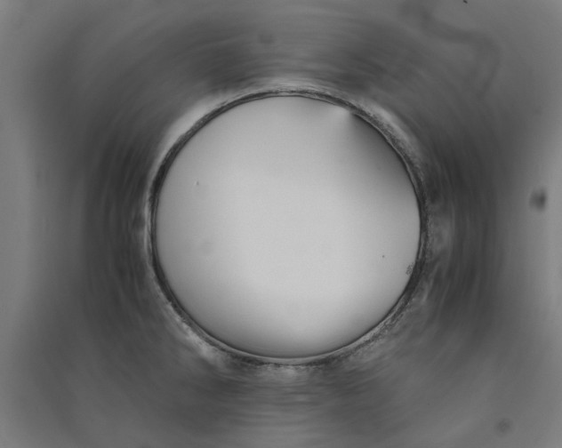 X0000091081286200708201425