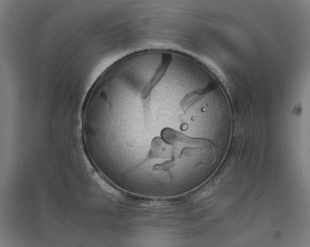 X0000091081287200708201425