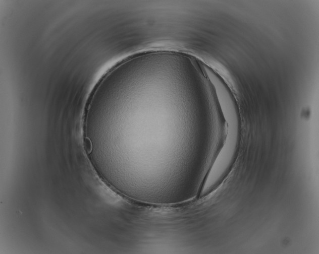 X0000091081288200708201425