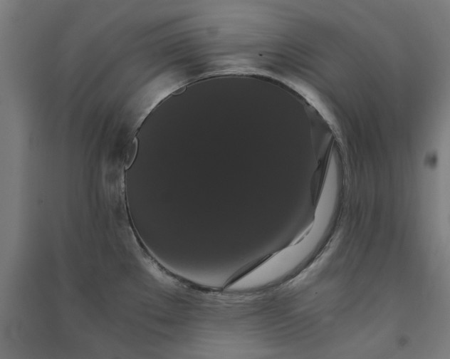 X0000091081289200708201425