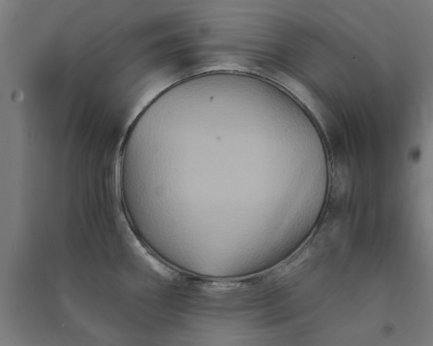 X0000091081290200708201425