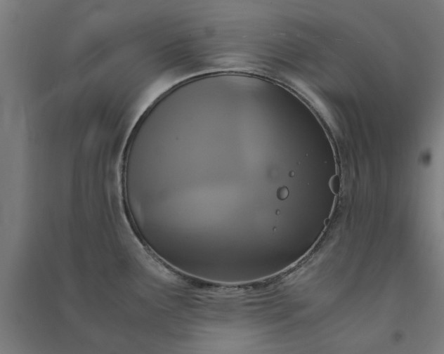 X0000091081291200708201425