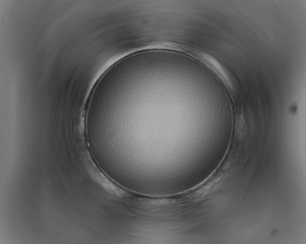 X0000091081292200708201425