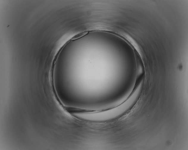 X0000091081293200708201425