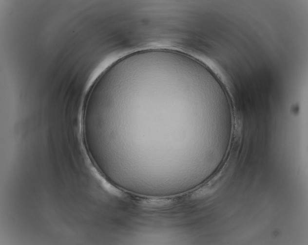 X0000091081294200708201424