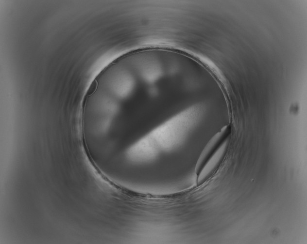 X0000091081295200708201424