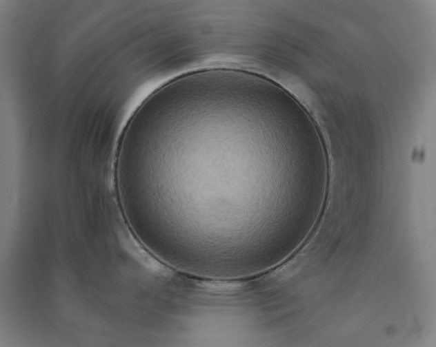 X0000091081296200708201424