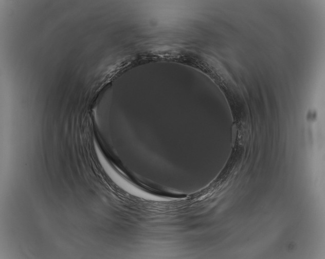 X0000091081298200708201424