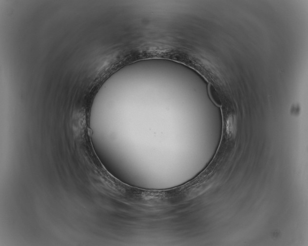 X0000091081299200708201424