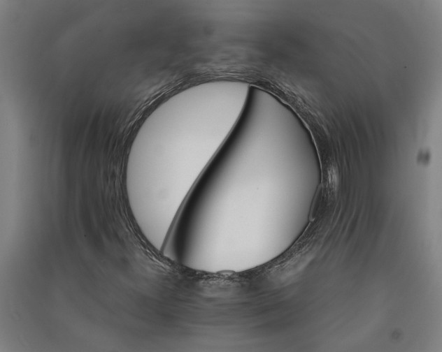 X0000091081300200708201424