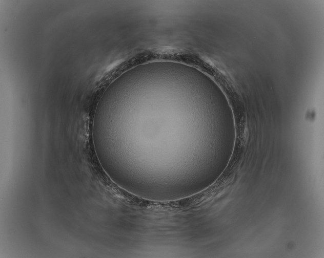 X0000091081301200708201424