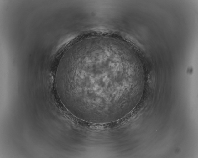 X0000091081302200708201424