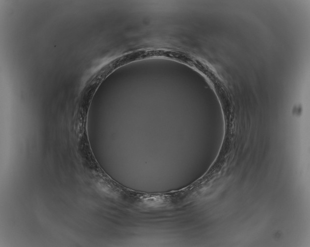 X0000091081303200708201424