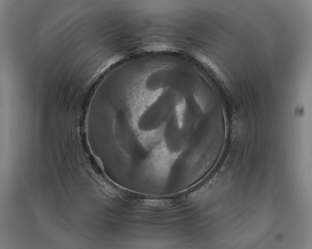 X0000091081305200708201424