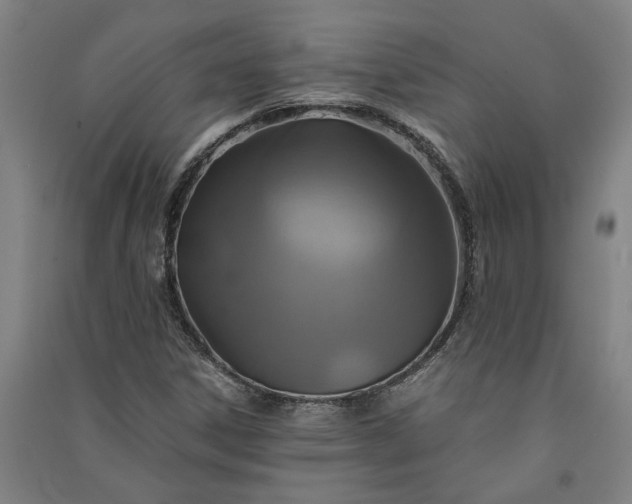 X0000091081306200708201424