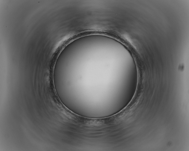 X0000091081307200708201424