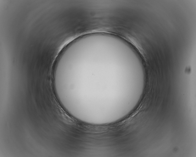 X0000091081308200708201424