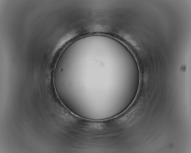 X0000091081309200708201424