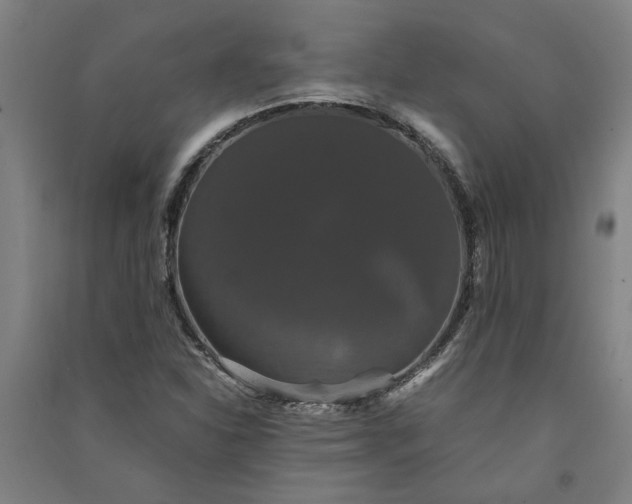 X0000091081310200708201424