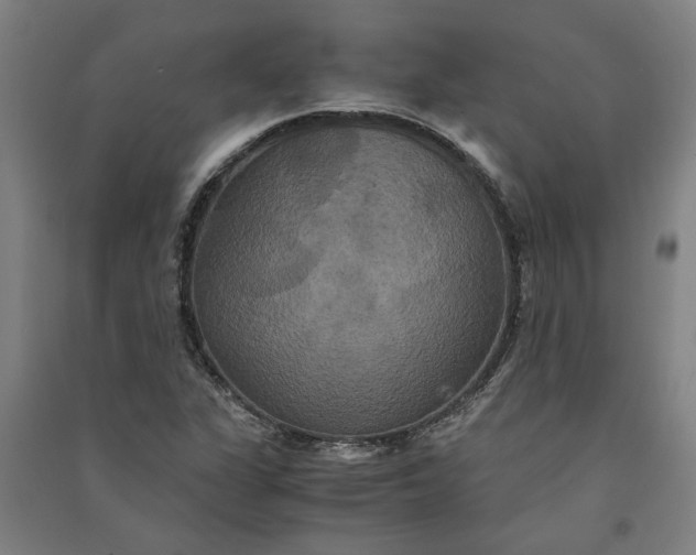 X0000091081311200708201424