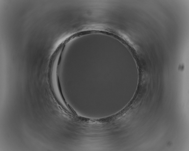 X0000091081312200708201424