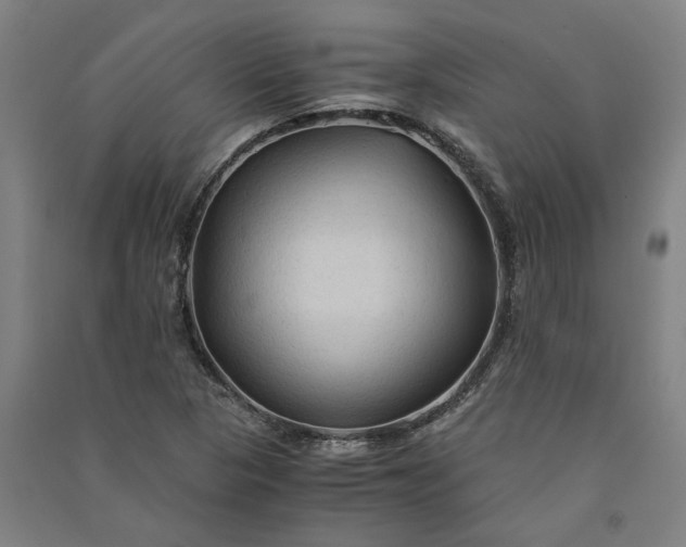 X0000091081313200708201424