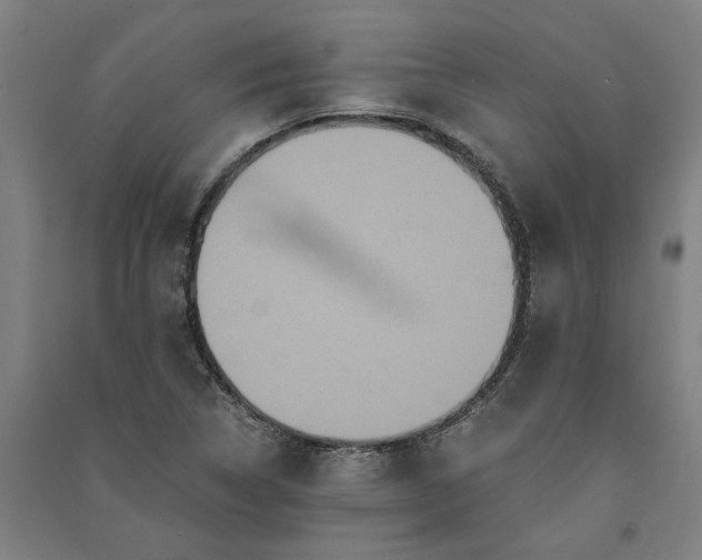 X0000091081314200708201424