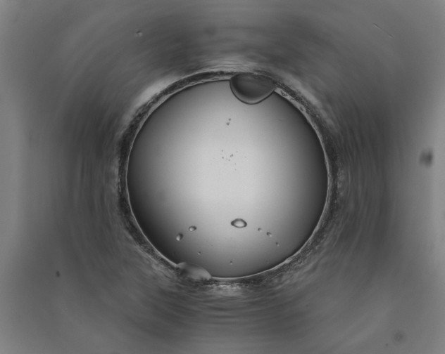 X0000091081315200708201424