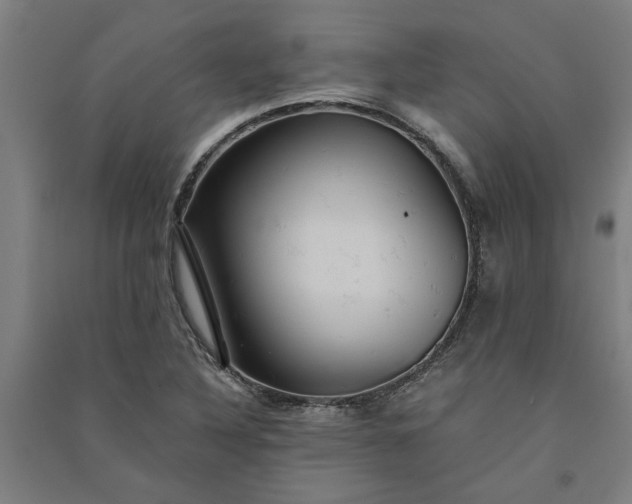 X0000091081316200708201424