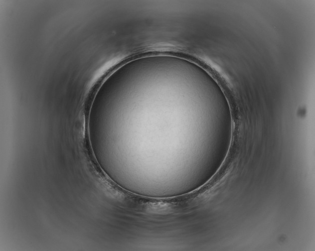 X0000091081317200708201424